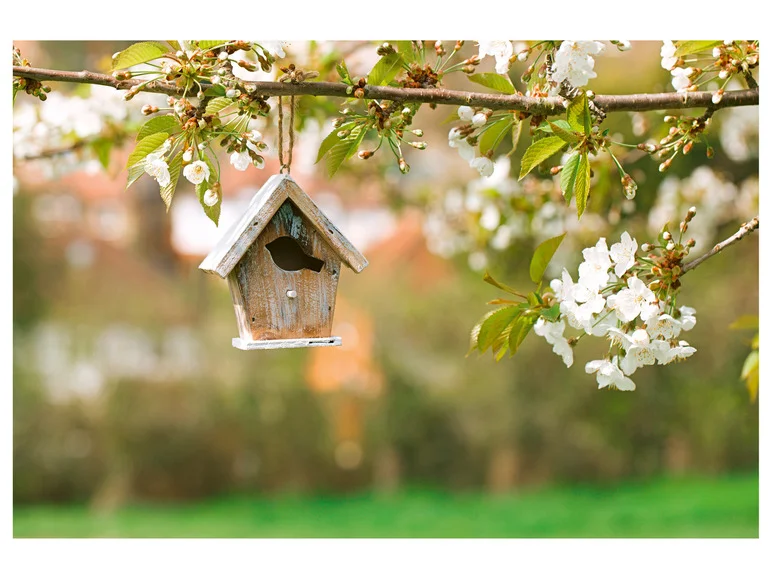 PARKSIDE® Agrafeuse-cloueuse électrique PHET 15 C2. 70 W