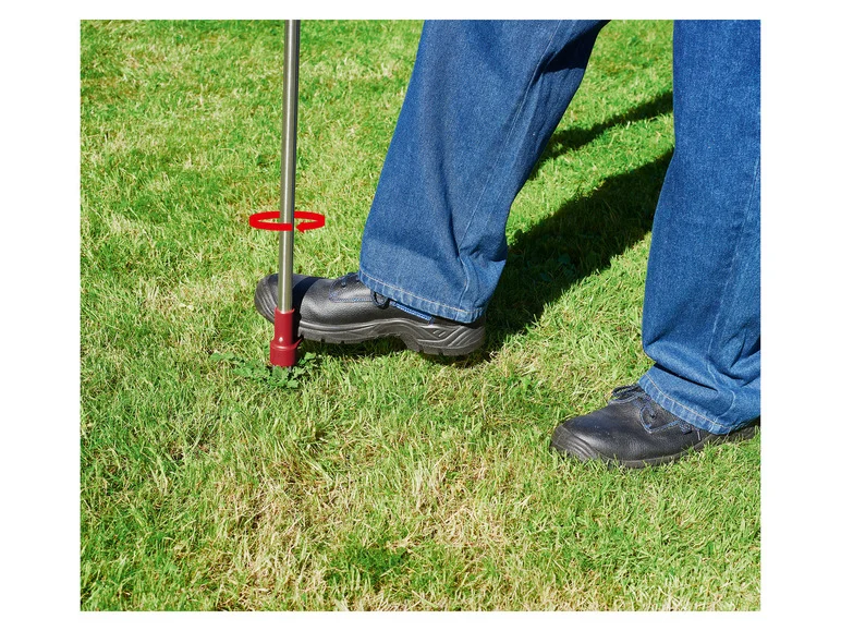 PARKSIDE® Set de brosses à mauvaises herbes ou désherbeur à main