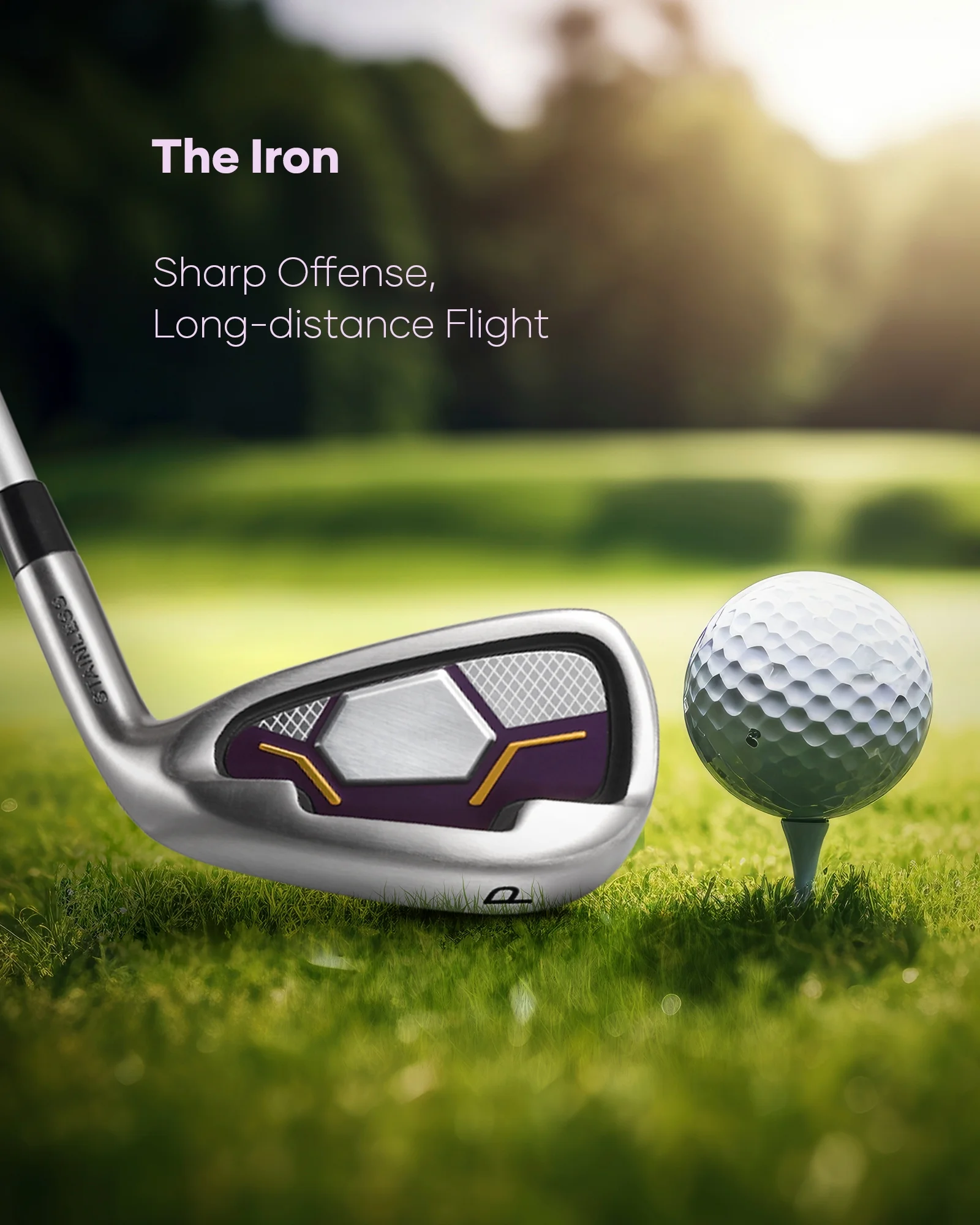 Complete Golf Clubs Package 9 Club Set for Men Woman Right Handed True Temper Steel Shafts Putter Stand Bag and 3 H C Bonus Head